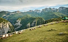 Eco Lodge Eagle'S Nest